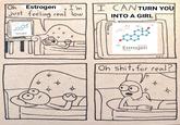 Oh Estrogen I'm 9 just feeling real low HO [Estradiol) Estrogen x x X X x I CANTURN YOU INTO A GIRL HO CH₂ structure [Estradiol) Estrogen 900 Oh s---, for real? X