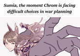 Sumia, the moment Chrom is facing difficult choices in war planning