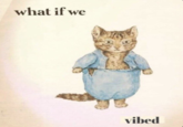 what if we vibed