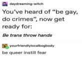 Be Gay Do Crime daydreaming-witch You've heard of "be gay, do crimes", now get ready for: Be trans throw hands yourfriendlylocalbogbody be queer instill fear