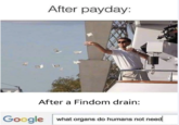 After payday: After a Findom drain: Google what organs do humans not need