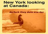 just pour maple syrup on it | /r/dankmemes New York looking at Canada: da f--- they doin ova der