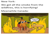 I think they have to be more worried | /r/memes New York: We get all the smoke from the wildfires, this is horrifying! Meanwhile Canada: THIS IS FINE