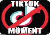 This is and edit of the PFP for r/tiktokmoment