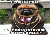 I'M MESSY ASF WHY DOES EVERYONE CALL ME A NEET? @mister griff