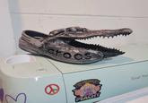 Literal Crocs 3 Open roos Ⓡ IS OH, EVERYTHING PEACHY Cricut Exp