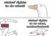 * states' rights to do what? * * ** * D states' rights to do what, m-----------?! @Trav4FL