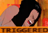 Akira gets Triggered If you don't leave Akira alone, He gonna get TRIGGERED.