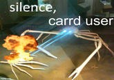 Silence, carrd user (READ NOTES) Sorry but ever since I've learned about that  in 2017-2018, I've never seen one carrd user that is nice. As a result, my current impression with people with carrd sites is that all they do is argue and fight. That's it.