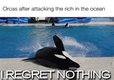 Orcas after attacking the rich in the ocean I REGRET NOTHING
