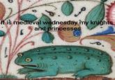 It is medieval wednesday my knights and princesses | /r/memes It is medieval wednesday my knights and princesses