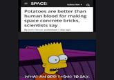 = SPACE Potatoes are better than human blood for making space concrete bricks, scientists say By Josh Dinner published 1 day ago o Subscribe ▾ WHAT AN ODD THING TO SAY.