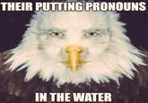 THEIR PUTTING PRONOUNS IN THE WATER