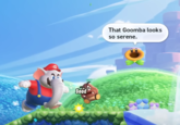 Good That Goomba looks so serene.