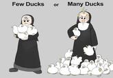 Few Ducks or Many Ducks &