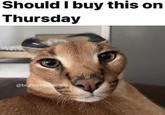 Should I buy this on Thursday @bigfloppa ociety