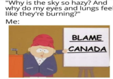 "Why is the sky so hazy? And why do my eyes and lungs feel like they're burning?" Me: BLAME CANADA