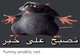 تصبح على خير funny arabic rat