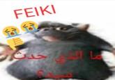 FEIKI ة ما ال حدث