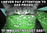 I NEVER PAY ATTENTION TO GAS PRICES 6900 sadasscats 110000 TF IMMA DO? NOT GET GAS??