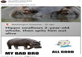 my uncle's meme stash @myunclesmemes hmm, must have been the wind Washington Examiner - 3h ago Hippo swallows 2-year-old whole, then spits him out alive MY BAD BRO 1:56 AM. Mar 13, 2023 31.8K Views ALL GOOD