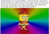 Extensive scientific research shows that this is the last image the human brain creates at the point of death. Could this be God himself? HOT 20884 SAUCE