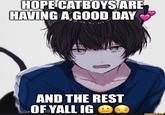 HOPE CATBOYS ARE HAVING A GOOD DAY AND THE REST OF YALL IG @ siro ifunny.co
