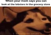 When your mom says you can look at the lobsters in the grocery store [ happiness noise ]