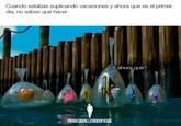 Cuando estabas suplicando vacaciones y ahora que es el primer día, no sabes qué hacer ¿Y ahora qué? PARACABALLEROSOFICIAL