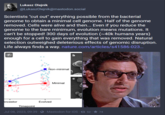 Lukasz Olejnik Ancestor @LukaszOlejnik@mastodon.social Scientists "cut out" everything possible from the bacterial genome to obtain a minimal cell genome. Half of the genome removed. Cells were alive and then... Even if you reduce the genome to the bare minimum, evolution means mutations. It can't be stopped! 300 days of evolution (~40k humans years) enough for a cell to gain everything that was removed. Natural selection outweighed deleterious effects of genomic disruption. Life always finds a way. nature.com/articles/s41586-023... Timepoint Non-minimal Evolved Minimal b Jul 08, 2023, 09:39 - Mastodon for iOS 52★ 74