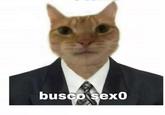 Busco Sexo | Know Your Meme