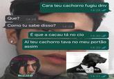 Que? 14:29 Como tu sabe disso? Cara teu cachorro fugiu dnv 14:28 ✔ Todo dia isso É que a cacau tá no cio Aí teu cachorro tava no meu portão assim 14:30 ✔ BICHO 14:29 14:30 ✓ Busco sexo 14:31 ✔