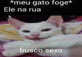 *meu gato foge* Ele na rua busco sexo