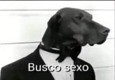 Busco sexo
