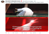 WILDEST DREAMS HAHA @swiftoursonggg - 12h me singing to "Back to December (Taylor's Version)" by Taylor Swift. O 25 *DEEP BREATHE* Sothisismeswallowingmypride standing in frontofyousayingi'm sorryforthatnight t 6,041 15.5K taylornationphl ₁427.1K +]
