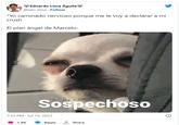 Eduardo Lima Águila @lalo_lima. Follow *Yo caminado nervioso porque me le voy a declarar a mi crush El plan ángel de Marcelo: Sospechoso 7:33 PM Jul 10, 2023 1.9K Reply ↑ Share