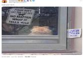 suzanne CAIO @enigmaticbeach Cat pervert. PLEASE DON'T LET THE CAT OUT KCK NO MATTER WHAT IT TELLS YOU! 3:43 AM - Jul 13, 2023 - 10.2K Views HELT Cat neds air