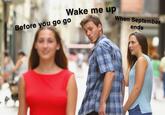 Wake me up Before you go go When September ends