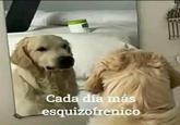 Cada Día Más Esquizofrenico dog Cada día más esquizofrenico
