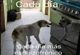 Cada Día Más Esquizofrenico dog Cada día Cada día más esquizofrénico