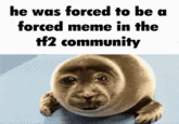 he was forced to be a forced meme in the tf2 community
