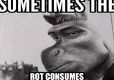 SUMETIMES THE 北 ROT CONSUMES