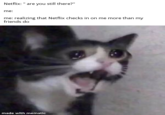 Netflix: " are you still there?" me: me: realizing that Netflix checks in on me more than my friends do made with mematic
