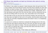 776 [TX] Pecan tree severely cut back by trimmers who came to wrong yard (self.legaladvice) submitted 5 years ago by damagedpecan My Mother in law called my spouse in tears because when she got home from a long vacation she found that the pecan tree that they'd planted 33 years ago had been cut back by about 40%, severely impacting the shade the tree was providing to her home and possibly threatening its health. Additionally, all of the ripe pecans were gone from the tree and yard, and the remaining crop on the tree are falling while not yet ripe, now, presumably due to the trauma. She was able to find out who the tree trimming company was and they told her they were not liable for their error (of course), and the police told her that they had not criminally trespassed because she doesn't have a no trespassing sign posted (?!). I've told her to contact an arborist to evaluate the damage done to the tree, and that she may need to pursue this as a civil suit, but she's not sure what sort of lawyer she needs to contact. This tree was planted by my late father- in-law when my spouse was a child, and they feel nearly like they've lost a family member from this violation. All of this is in Midland county, if that makes any difference. 99 comments source share save hide give award report crosspost hide all child comments