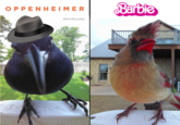 Invest in movie tickets | /r/MemeEconomy OPPENHEIMER Barbie #birdbuddy
