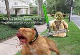 Not my pibble's fault, this is. Negative energy, your child had. 1