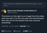 This Tweet was deleted by the Tweet author. Learn more Dom Lucre | Breaker of Narratives @dom_lucre ... The photo on the right is an image from the video that was sent. It is the one year old named Daisy. She was one of the babies that was rescued thankfully. 6:59 PM Jul 22, 2023 · 540.6K Views 351 Retweets 41 Quotes 5,305 Likes