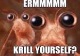 ERMMMMM KRILL YOURSELF?