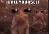 KRILL YOURSELF