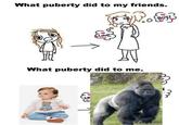 What puberty did to my friends. 20 Glove What puberty did to me. (Boys